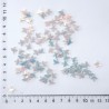 Kelebek Pleksi Pul - 50 Gram - Hologram