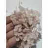 Japon Ortanca Çiçeği - Açık Pudra