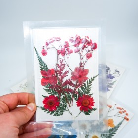 Kırmızı Kuru  Çiçek  Papatya Dal Cipso Set