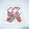 Kırmızı Kuru Çiçek Papatya Dal Cipso Set