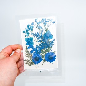 Mavi Kuru  Çiçek  Papatya Dal Cipso Set