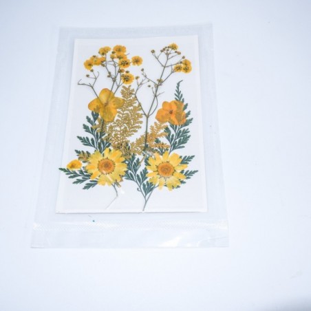 Sarı Kuru Çiçek Papatya Dal Cipso Set