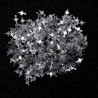 Kutup Yıldızı Pleksi Pul - 1kg - Gümüş
