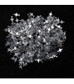 Kutup Yıldızı Pleksi Pul - 500 Gram - Gümüş