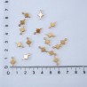Kutup Yıldızı Pleksi Pul - 1kg - Gold