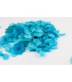 Kurutulmuş Japon çiçeği - Mavi