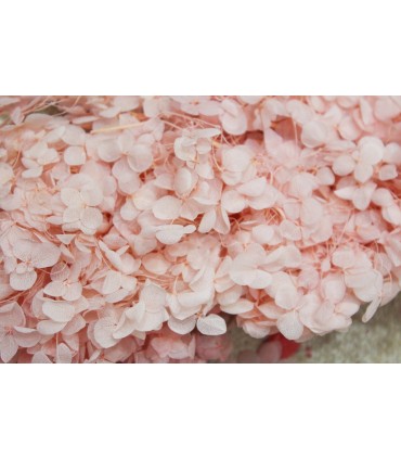 Japon Ortanca Çiçeği - Toz Pembe