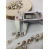 salyangoz kabuğu 8.4 mm - 25 gr