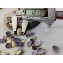 Deniz kabuğu 12 mm - 25 gr