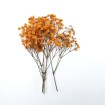 Şoklanmış Pıtırcık Kuru Çiçekler - Turuncu - Mini demet