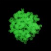 Epoksi Süsleme Pulu - Fosforlu Çiçek Yeşil