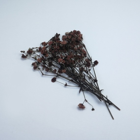 Şoklanmış Pıtırcık Kuru Çiçekler - Mini demet