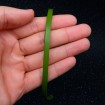 1 metre - Deri İp - Fıstık Yeşil - 6x2 mm