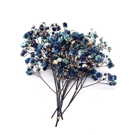 Şoklanmış Pıtırcık Kuru Çiçekler - Mavi Tonları - Mini demet